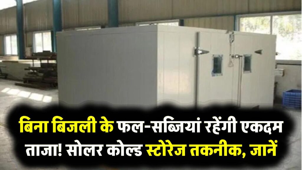 बिना बिजली के फल-सब्जियां रहेंगी एकदम ताजा! इस नई सोलर कोल्ड स्टोरेज तकनीक ने बदला किसानों का भाग्य, नहीं सड़ेगी फसल