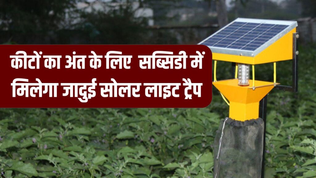 Solar Light Trap: फसलों के दुश्मनों का काल! सब्सिडी पर मिल रहा यह जादुई सोलर लाइट ट्रैप; कीटों से बचाएगा लाखों की फसल।