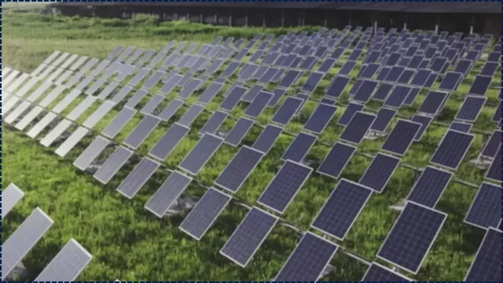 Solar Panels in the Middle of Farms