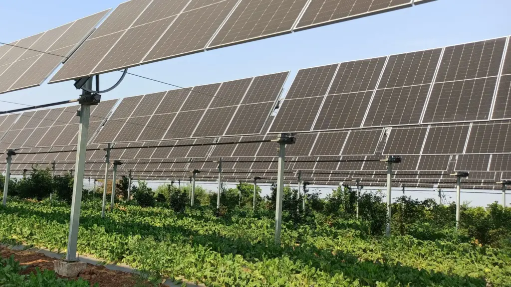 Agri-Solar Panels
