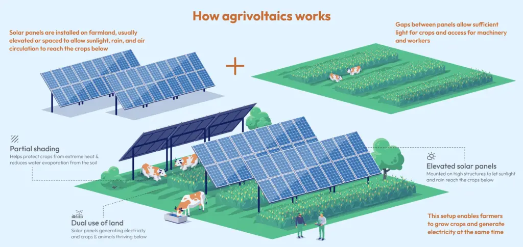 Agri-Solar Panels Diagram