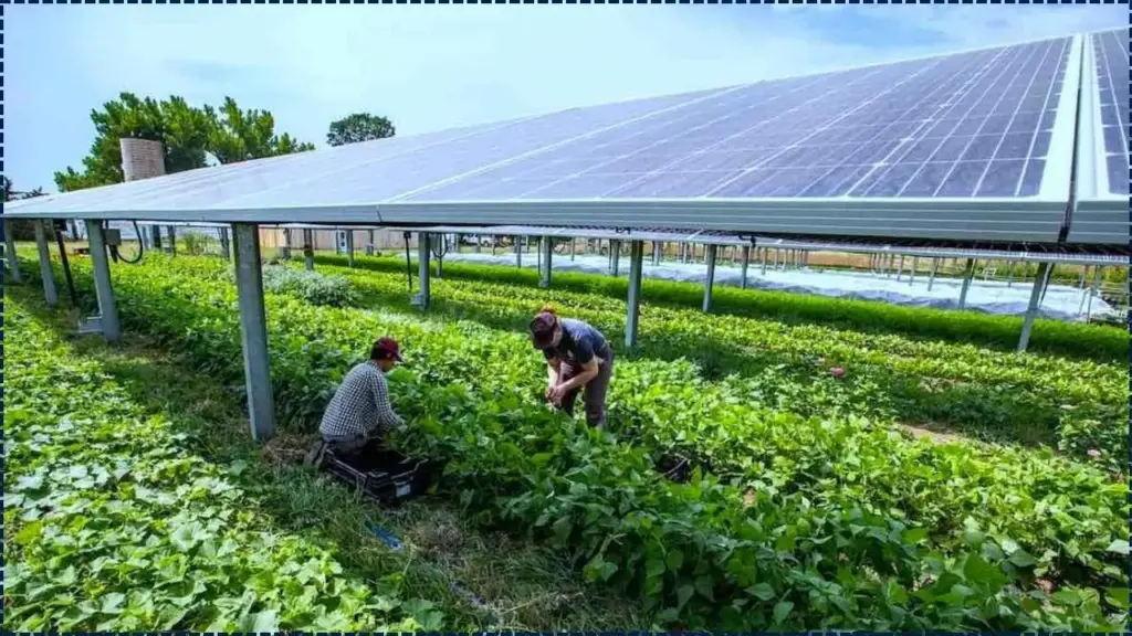 The Agri-Solar Miracle