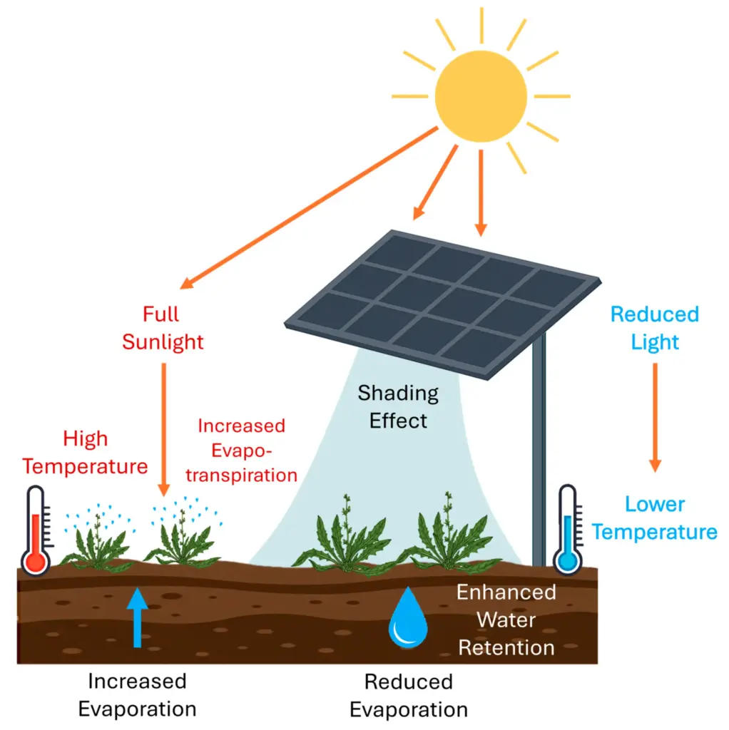 Agrivoltaics Diagram