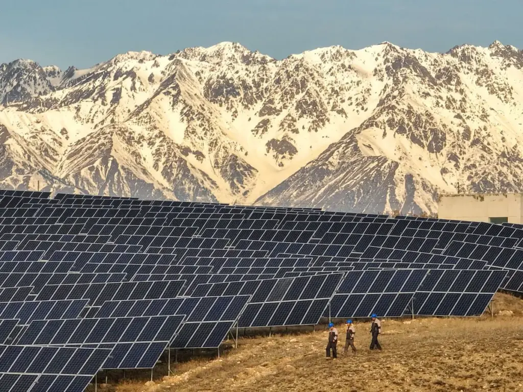 China Solar Producer