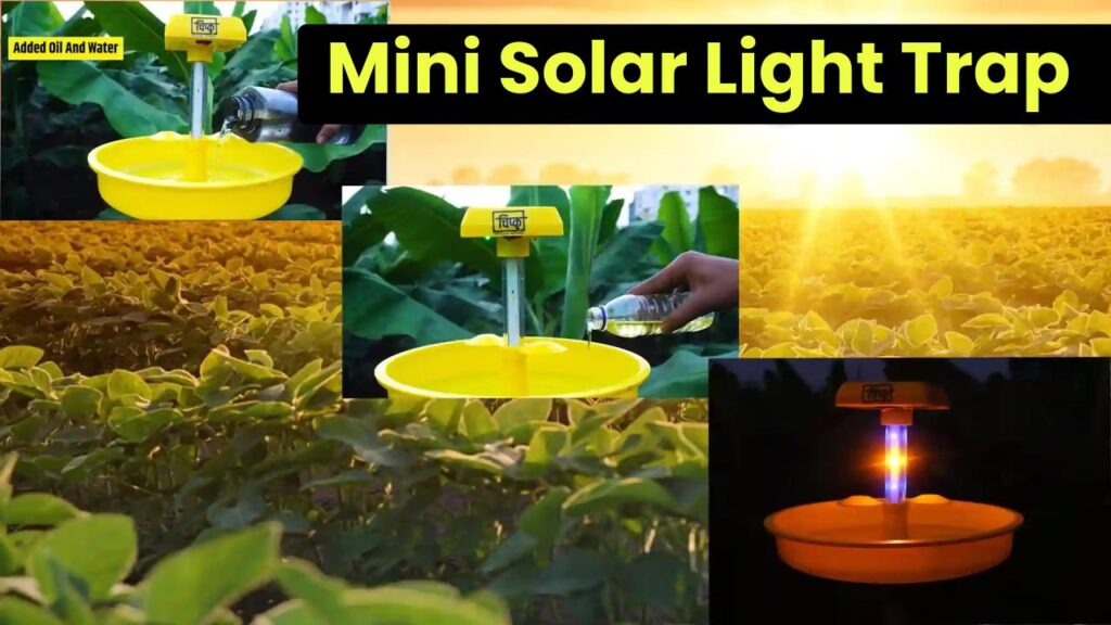 Mini Solar Light Trap: Buy Online for Pest Control in Farms Ends Pest Troubles Forever