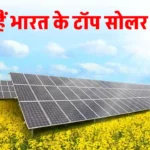 Solar Panel खरीदने की योजना बना रहे हैं? जानिए Top 5 Solar Brands के बारे में!