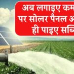 अब किसान लगवा सकते हैं इतनी कम कीमत पर सोलर पैनल, सरकार देगी बढ़िया सब्सिडी