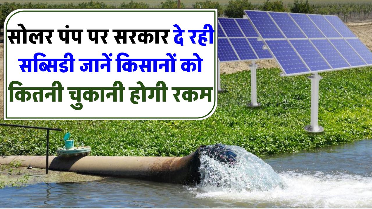 PM Kusum Yojana: सरकार दे रही सोलर पंप पर सब्सिडी, जानें किसानों को कितनी चुकानी होगी रकम