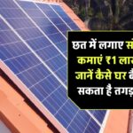 Business Idea: सिर्फ छत से कमाएं ₹1 लाख महीना! जानिए कैसे घर बैठे शुरू हो सकता है तगड़ा मुनाफा