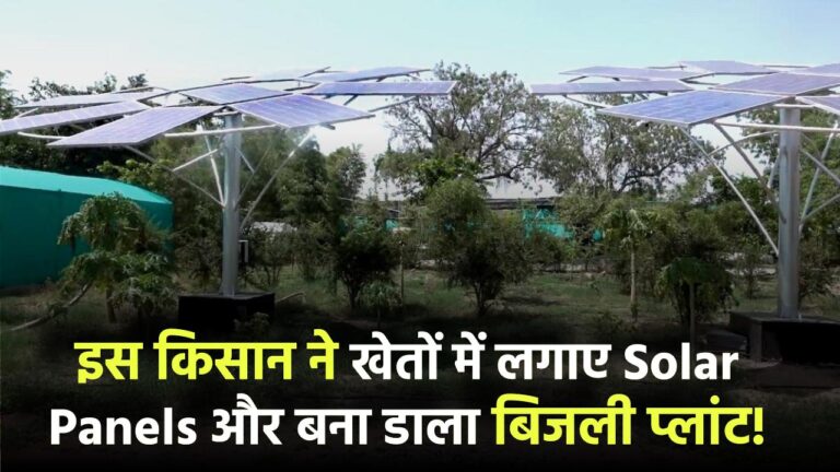 इस किसान ने खेतों में लगाए Solar Panels और बना डाला बिजली प्लांट!