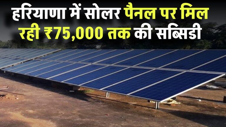 हरियाणा में सोलर पैनल पर मिल रही ₹75,000 तक की सब्सिडी! देखें कौन-कौन सी कंपनियां कर रहीं इंस्टॉल