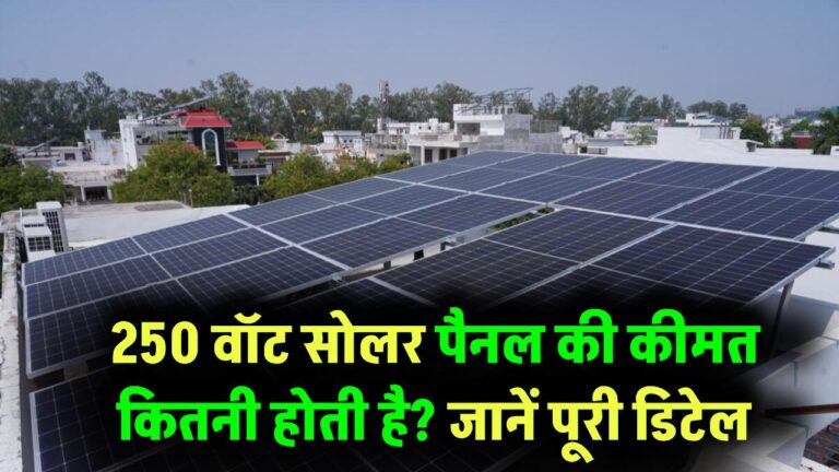 250W Solar Panel Price: 250 वॉट सोलर पैनल की कीमत कितनी होती है? यहां जानिए पूरी डिटेल