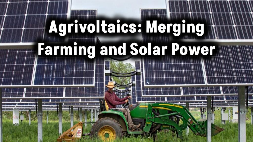 Agrivoltaics Combining Agriculture and Solar Energy for a Sustainable Future