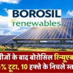 Q3 परिणामों के बाद बोरोसिल रिन्यूएबल्स के शेयरों में 5% की गिरावट; 10 सप्ताह के निचले स्तर पर