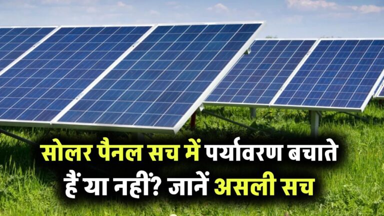 क्या सोलर पैनल से सच में बचता है पर्यावरण? जानिए इसके पीछे की हकीकत
