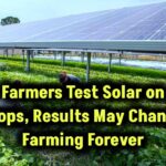 farmers-testing-solar-on-crops-global-food-production-impact