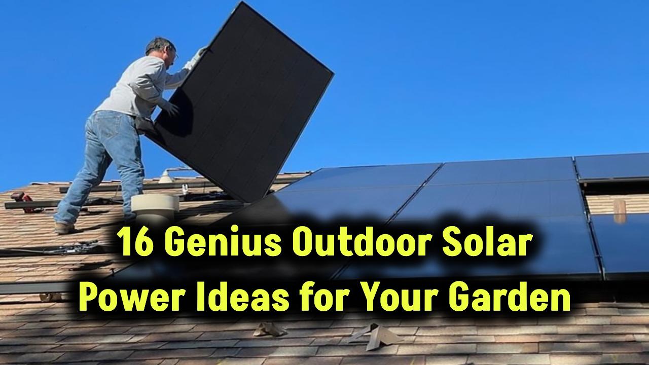 genius-ways-to-use-solar-power-in-your-garden