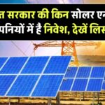 Government Solar Companies: किन सोलर एनर्जी कंपनियों में है भारत सरकार का निवेश, देखें लिस्ट
