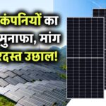 भारत की सोलर कंपनियां बना रही हैं रिकॉर्ड मुनाफा! जानिए क्यों बढ़ रही है इनकी मांग