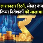 हर साल शानदार रिटर्न! इन भारतीय सोलर कंपनियों ने बना दिया निवेशकों को मालामाल