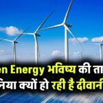 क्या Green Energy ही है भविष्य की पावर! जानिए क्यों पूरी दुनिया इसकी दीवानी हो रही है
