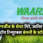वारी एनर्जीज के शेयरों में बड़ी गिरावट! जानिए क्यों लुढ़क रहे हैं इस टॉप रिन्यूएबल कंपनी के स्टॉक्स
