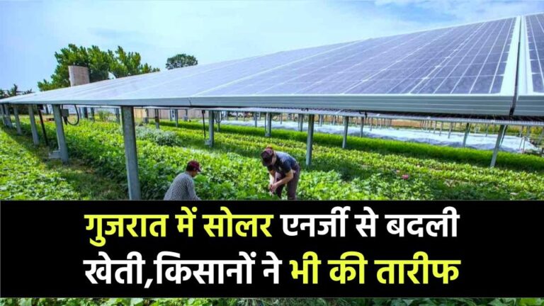 PM-KUSUM Yojana Impact: गुजरात में सोलर एनर्जी ने बदली खेती की तस्वीर, किसानों ने की तारीफ