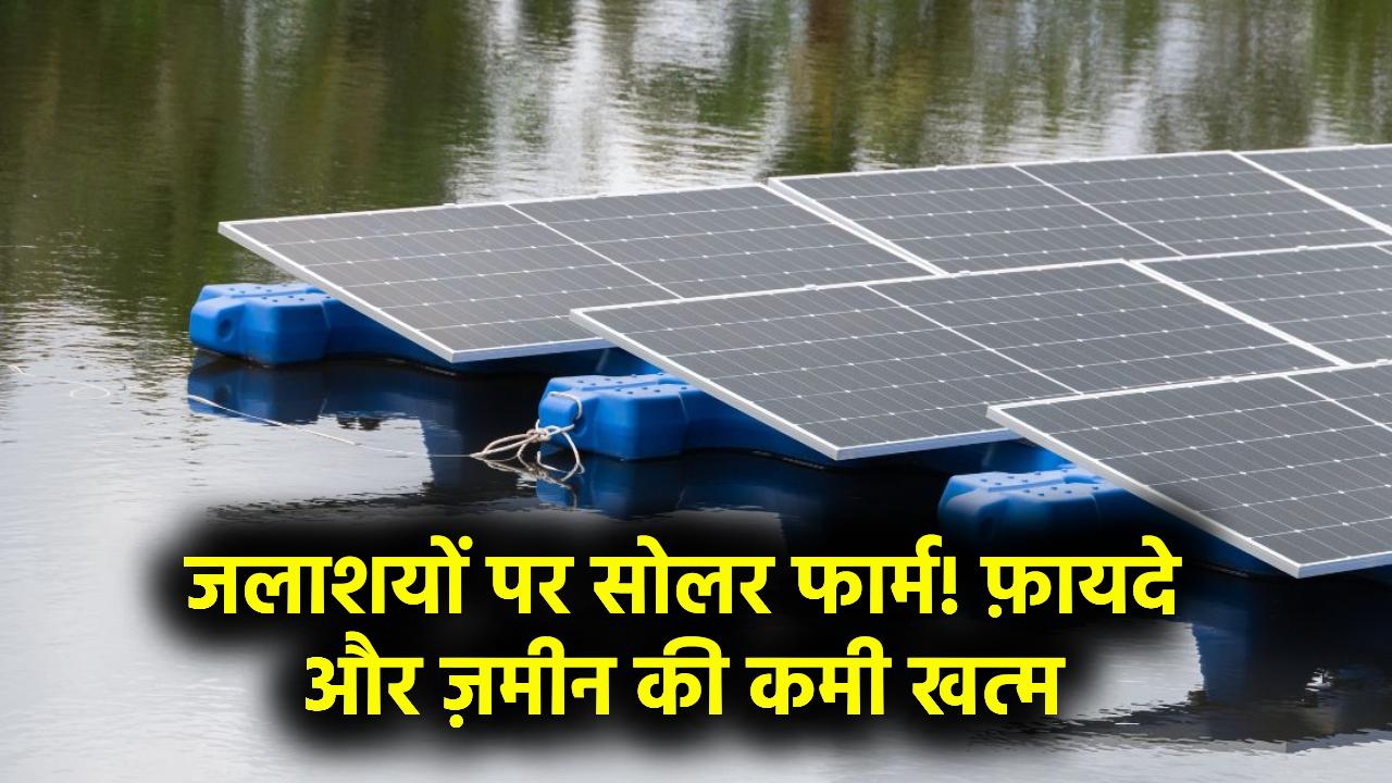 Floating Solar Farm: ज़मीन की कमी खत्म! जलाशयों पर सोलर लगाने से क्या फायदा होता है?