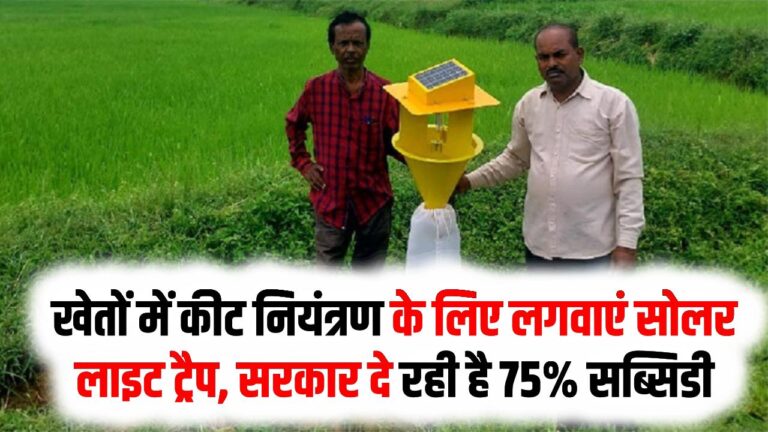 Solar Light Trap Subsidy:खेतों में कीट नियंत्रण के लिए लगवाएं सोलर लाइट ट्रैप, किसानों को सरकार दे रही है 75% सब्सिडी, जानें आवेदन की प्रक्रिया