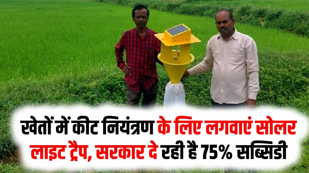 Solar Light Trap Subsidy:खेतों में कीट नियंत्रण के लिए लगवाएं सोलर लाइट ट्रैप, किसानों को सरकार दे रही है 75% सब्सिडी, जानें आवेदन की प्रक्रिया