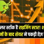 ₹50 से कम का यह सोलर स्टॉक है राइजिंग स्टार! शानदार नतीजों के बाद शेयर ने पकड़ी तेज़ स्पीड