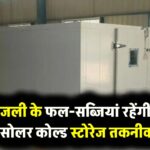 बिना बिजली के फल-सब्जियां रहेंगी एकदम ताजा! इस नई सोलर कोल्ड स्टोरेज तकनीक ने बदला किसानों का भाग्य, नहीं सड़ेगी फसल