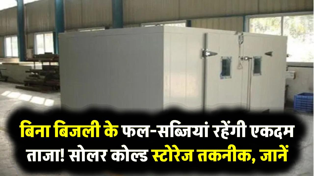 बिना बिजली के फल-सब्जियां रहेंगी एकदम ताजा! इस नई सोलर कोल्ड स्टोरेज तकनीक ने बदला किसानों का भाग्य, नहीं सड़ेगी फसल
