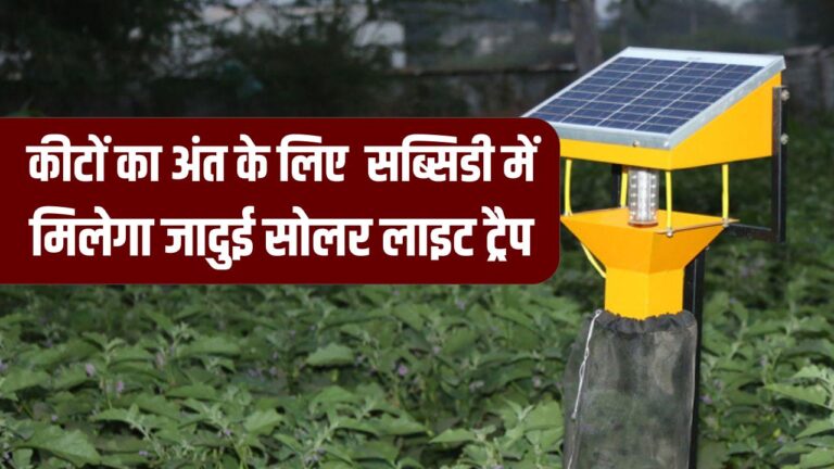 Solar Light Trap: फसलों के दुश्मनों का काल! सब्सिडी पर मिल रहा यह जादुई सोलर लाइट ट्रैप; कीटों से बचाएगा लाखों की फसल।