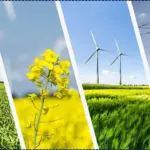 Green Energy Sector