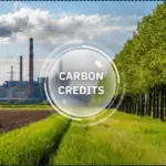 Indian Companies Are Turning Carbon Credits