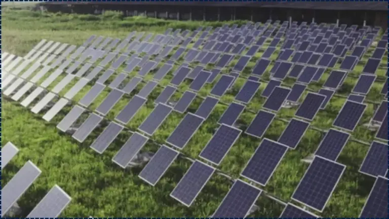 Solar Panels in the Middle of Farms