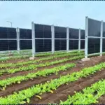 Agrivoltaics 2026