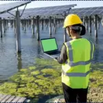 India’s Cleantech Job Market Booms