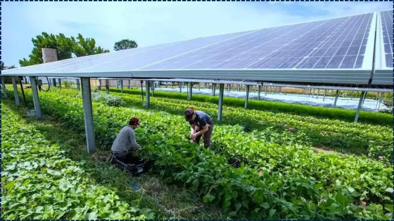 The Agri-Solar Miracle