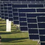 Germany Solar Subsidies 2026