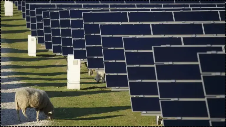 Germany Solar Subsidies 2026