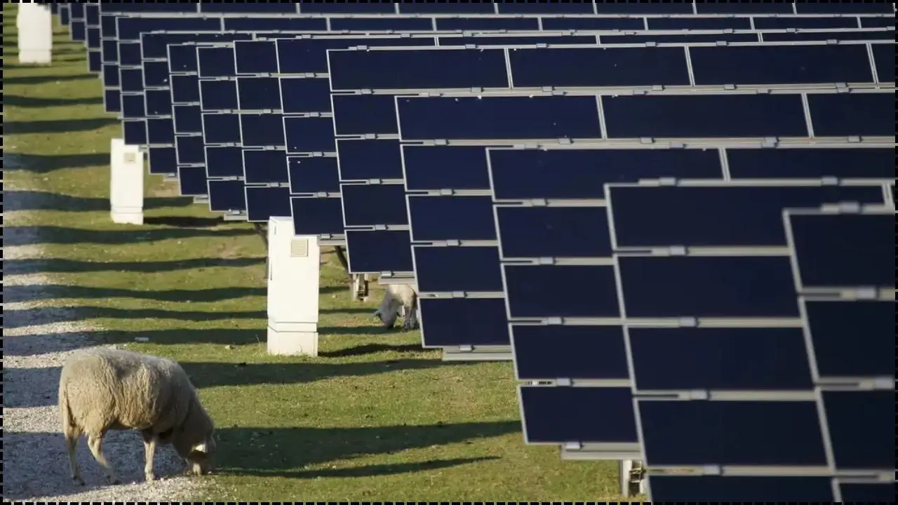 Germany Solar Subsidies 2026