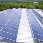 The ALMM Mandate April 2026