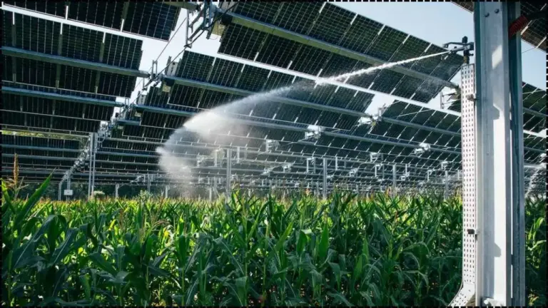 The Crop-Shield Effect